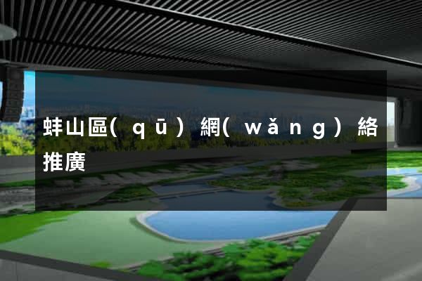 蚌山區(qū)網(wǎng)絡推廣