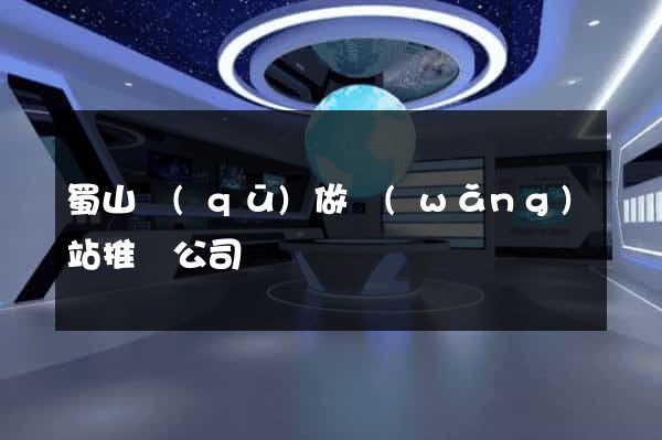 蜀山區(qū)做網(wǎng)站推廣公司