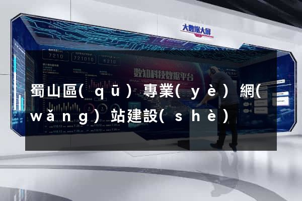 蜀山區(qū)專業(yè)網(wǎng)站建設(shè)