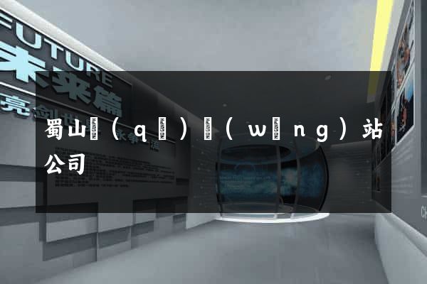 蜀山區(qū)網(wǎng)站公司