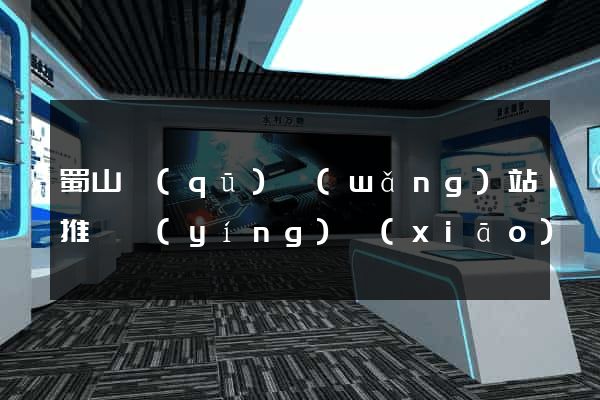 蜀山區(qū)網(wǎng)站推廣營(yíng)銷(xiāo)