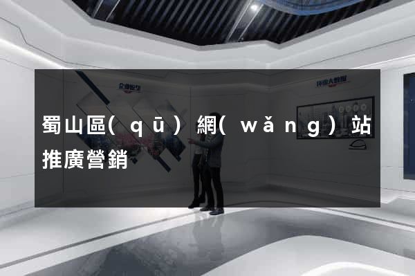 蜀山區(qū)網(wǎng)站推廣營銷