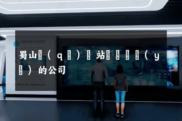 蜀山區(qū)網站設計專業(yè)的公司