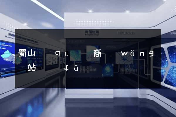 蜀山區(qū)電商網(wǎng)站開發(fā)