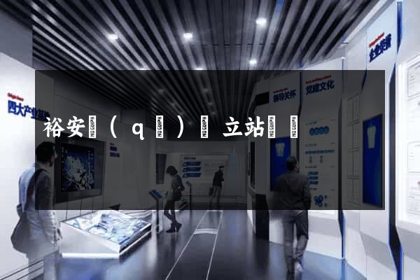 裕安區(qū)獨立站運營
