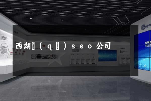 西湖區(qū)seo公司
