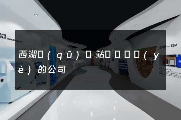 西湖區(qū)網站設計專業(yè)的公司