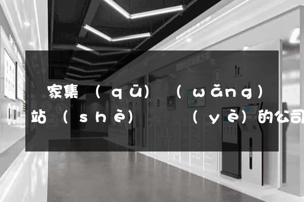 謝家集區(qū)網(wǎng)站設(shè)計專業(yè)的公司