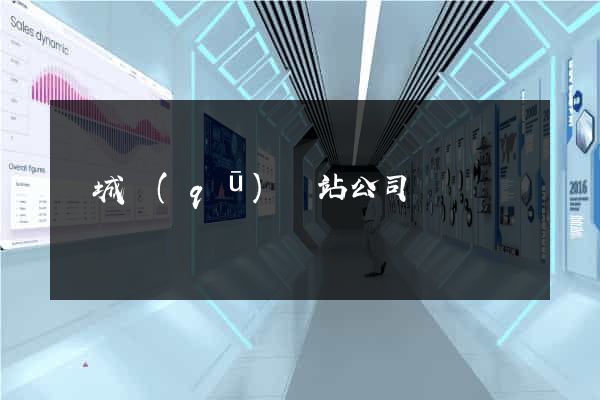 譙城區(qū)網站公司