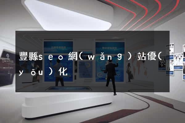 豐縣seo網(wǎng)站優(yōu)化