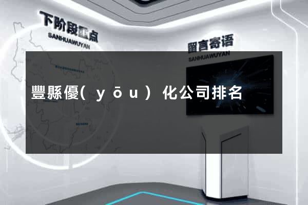 豐縣優(yōu)化公司排名