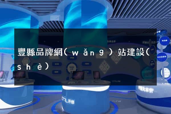 豐縣品牌網(wǎng)站建設(shè)