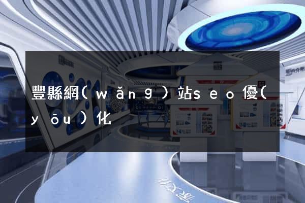 豐縣網(wǎng)站seo優(yōu)化