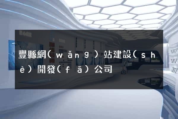 豐縣網(wǎng)站建設(shè)開發(fā)公司