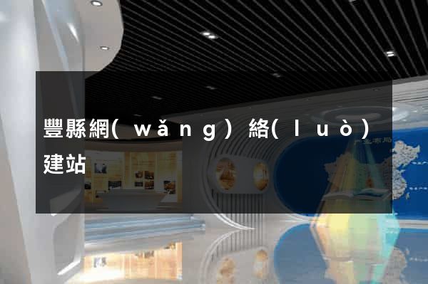 豐縣網(wǎng)絡(luò)建站