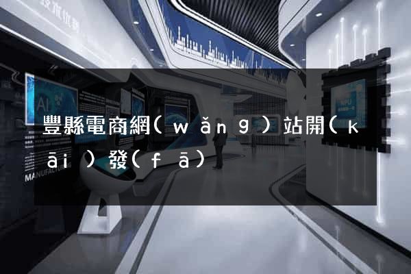 豐縣電商網(wǎng)站開(kāi)發(fā)