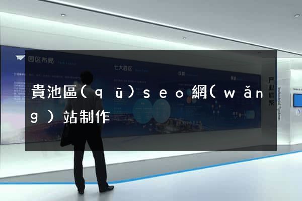 貴池區(qū)seo網(wǎng)站制作