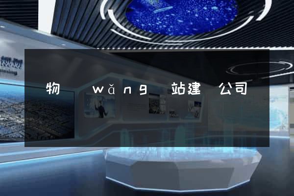 購物網(wǎng)站建設公司