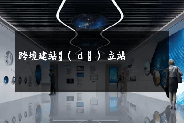 跨境建站獨(dú)立站