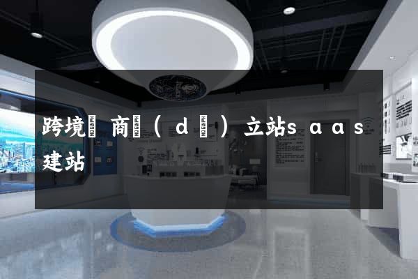 跨境電商獨(dú)立站saas建站