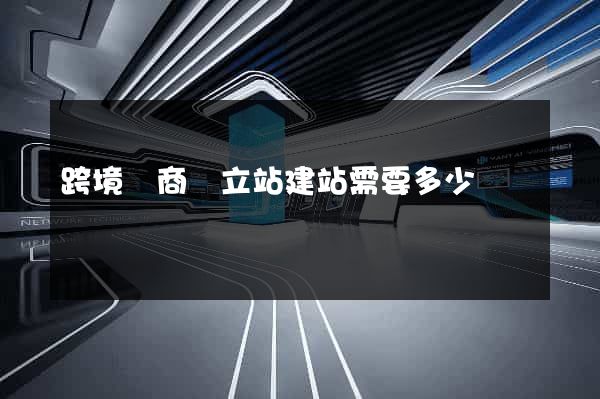 跨境電商獨立站建站需要多少錢