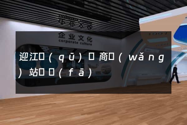 迎江區(qū)電商網(wǎng)站開發(fā)