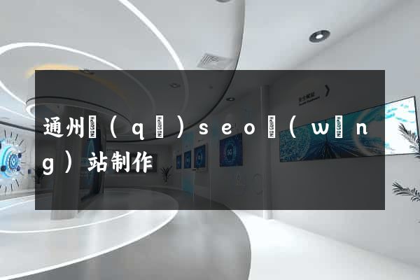 通州區(qū)seo網(wǎng)站制作