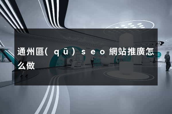 通州區(qū)seo網站推廣怎么做