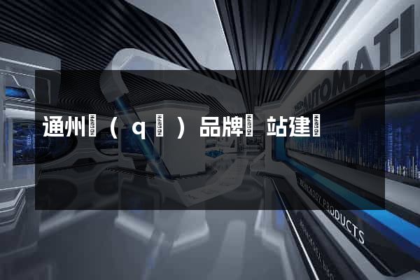 通州區(qū)品牌網站建設