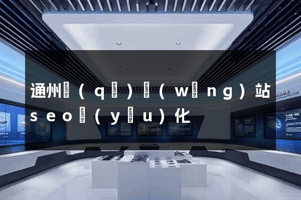 通州區(qū)網(wǎng)站seo優(yōu)化