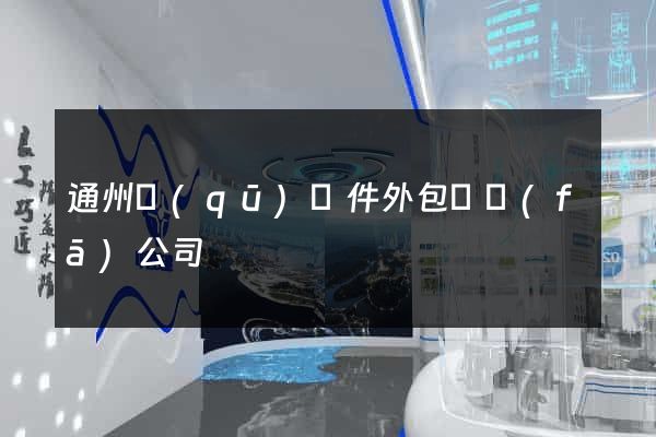 通州區(qū)軟件外包開發(fā)公司
