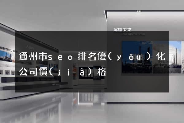 通州市seo排名優(yōu)化公司價(jià)格