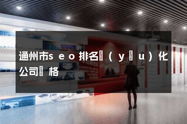 通州市seo排名優(yōu)化公司價格