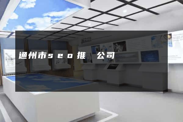 通州市seo推廣公司