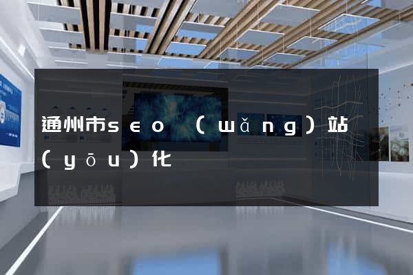 通州市seo網(wǎng)站優(yōu)化
