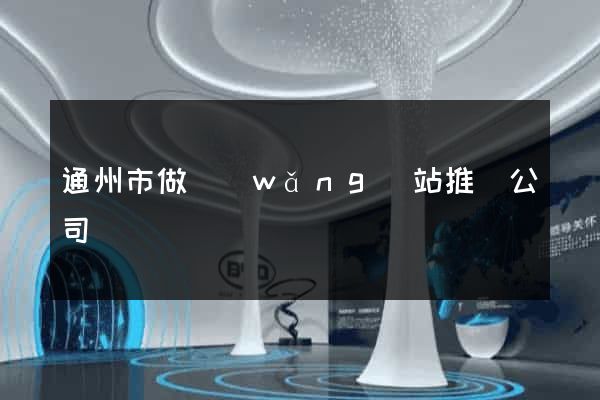 通州市做網(wǎng)站推廣公司
