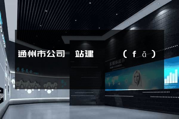 通州市公司網站建設開發(fā)