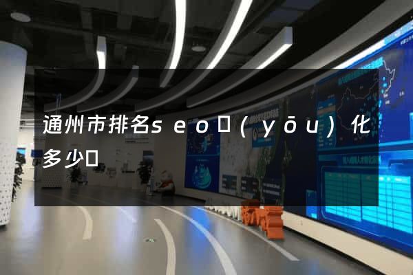 通州市排名seo優(yōu)化多少錢