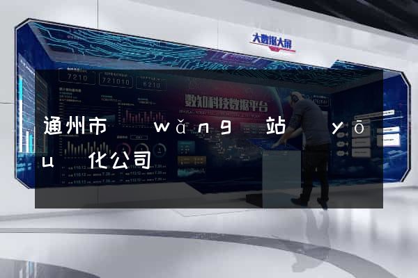 通州市網(wǎng)站優(yōu)化公司
