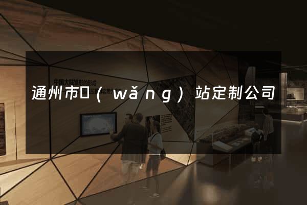 通州市網(wǎng)站定制公司