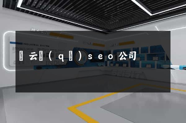 連云區(qū)seo公司