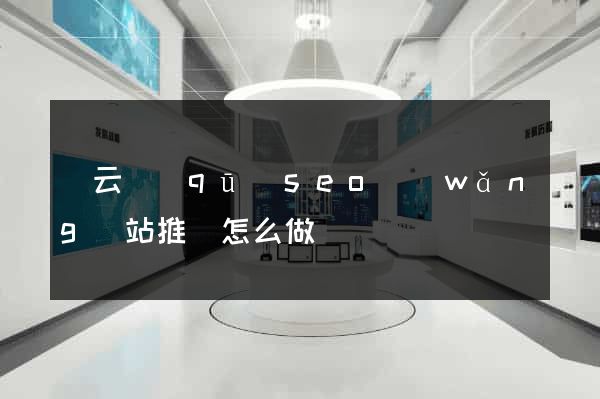 連云區(qū)seo網(wǎng)站推廣怎么做