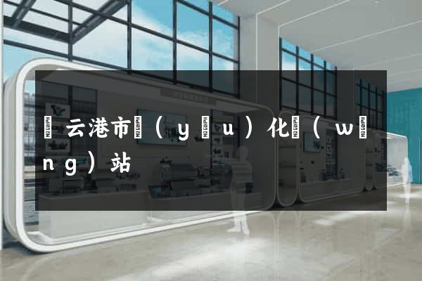 連云港市優(yōu)化網(wǎng)站