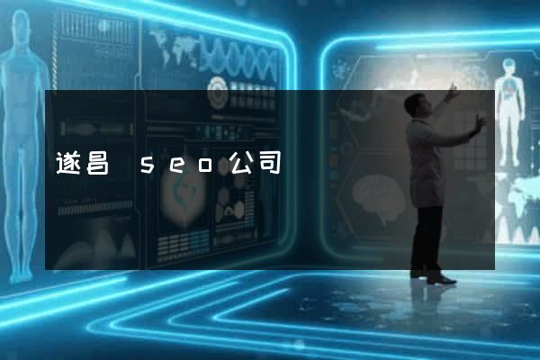 遂昌縣seo公司