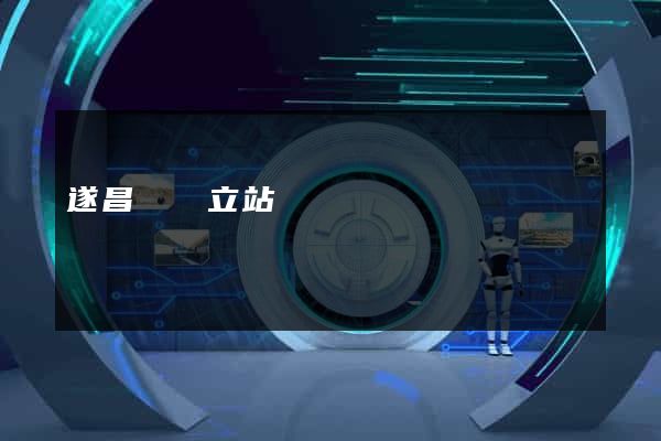 遂昌縣獨立站運營
