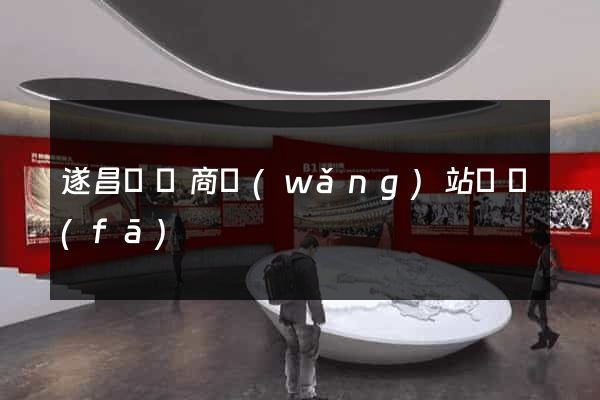 遂昌縣電商網(wǎng)站開發(fā)