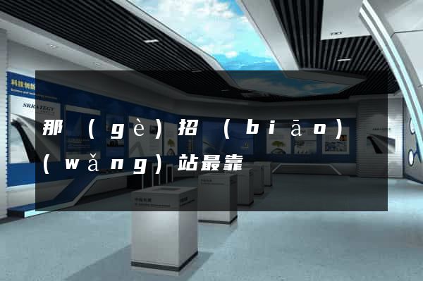 那個(gè)招標(biāo)網(wǎng)站最靠譜
