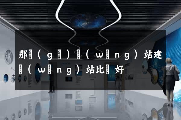 那個(gè)網(wǎng)站建網(wǎng)站比較好