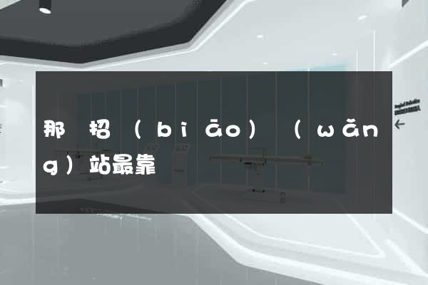 那個招標(biāo)網(wǎng)站最靠譜