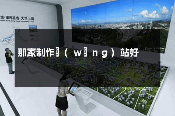 那家制作網(wǎng)站好